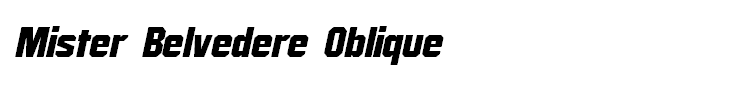 Mister Belvedere Oblique