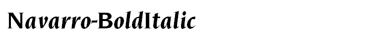 Navarro-BoldItalic