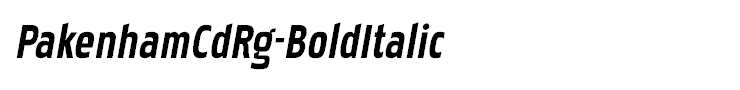 PakenhamCdRg-BoldItalic