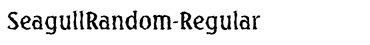 SeagullRandom-Regular