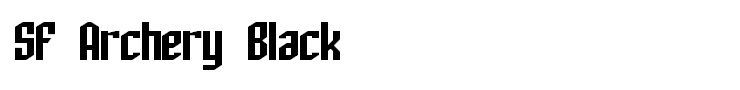 SF Archery Black