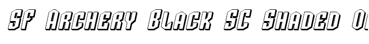 SF Archery Black SC Shaded Oblique