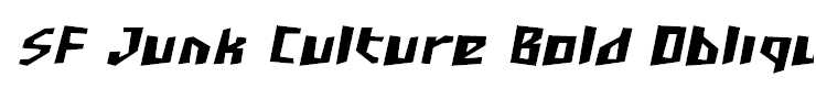 SF Junk Culture Bold Oblique