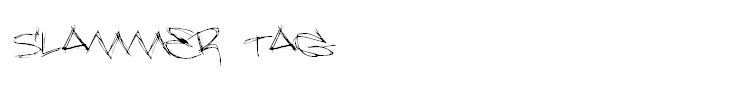 Slammer tag